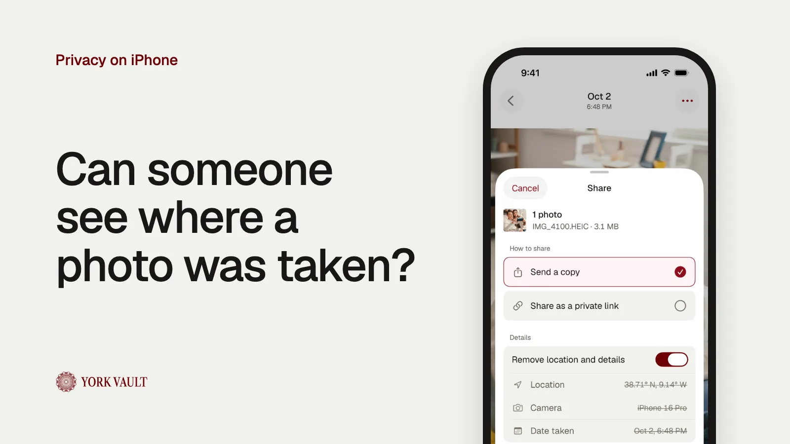 Share options with location removed in York Vault on iPhone