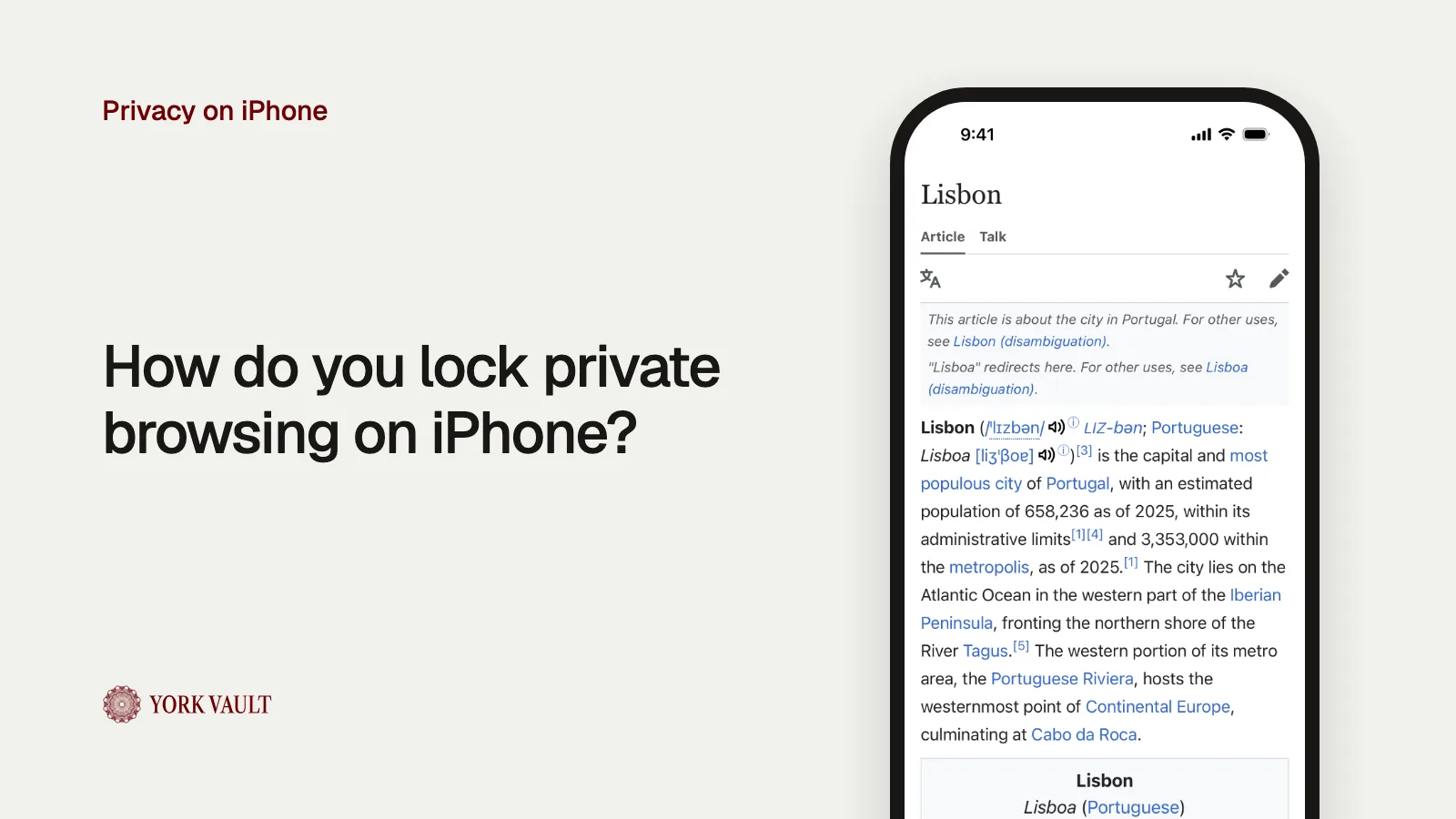 The private browser in York Vault on iPhone