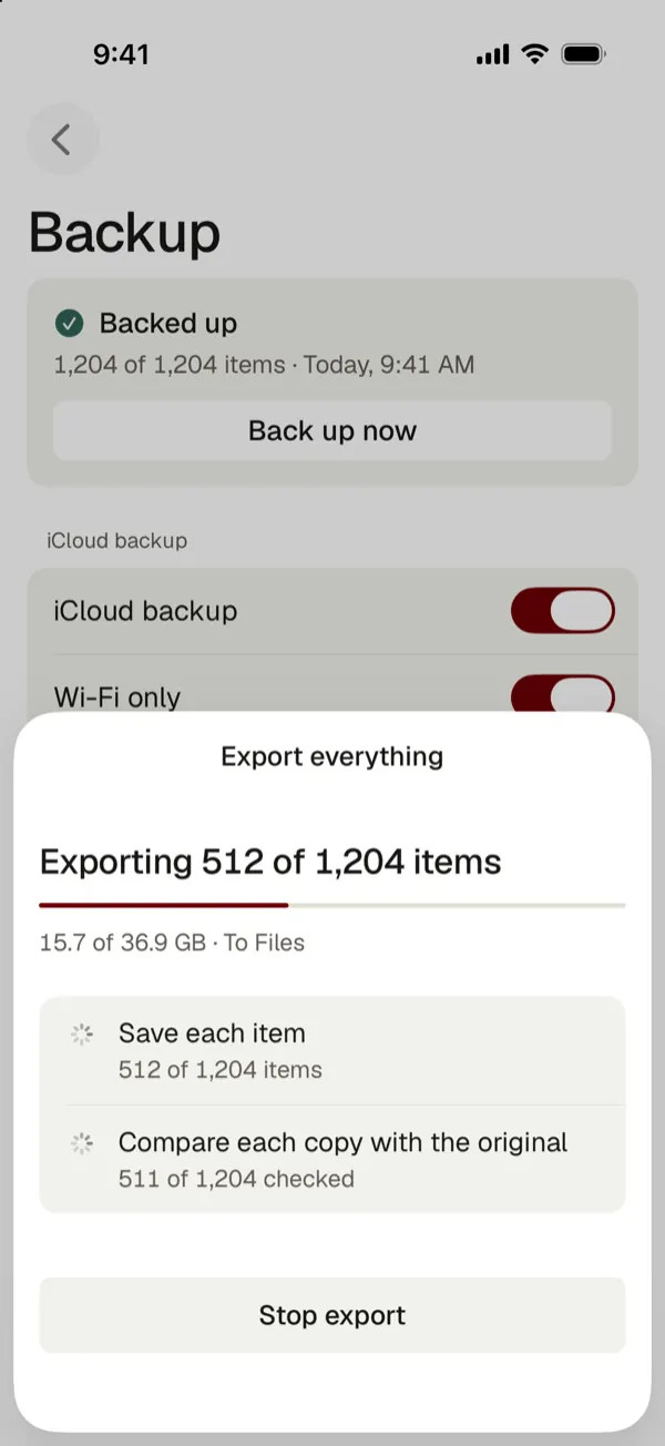 Export in progress: 512 of 1,204 items, each copy compared with the original