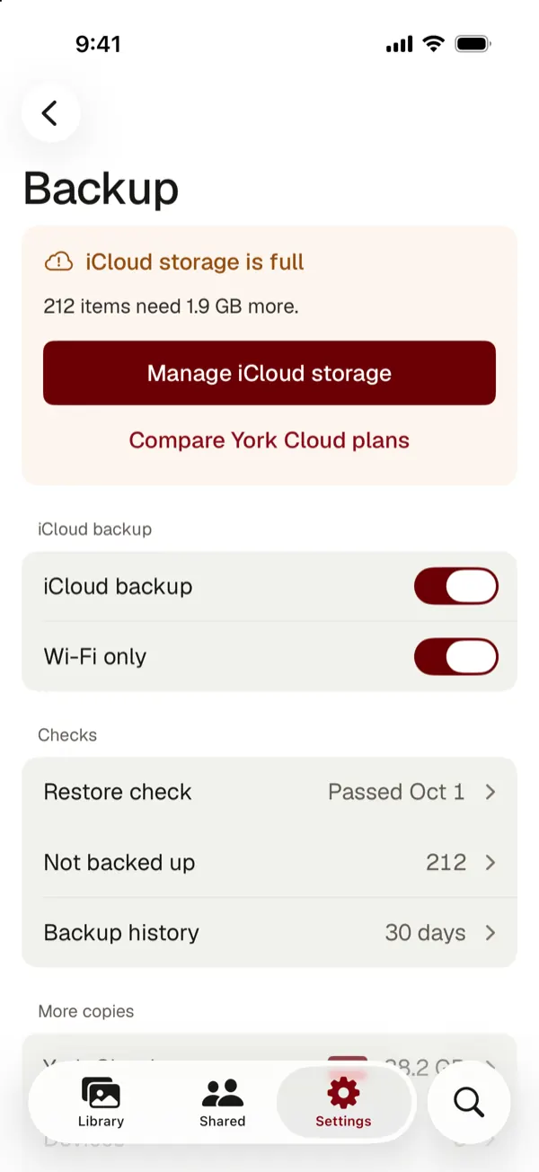 Backup with a banner that iCloud storage is full and 212 items need 1.9 GB more