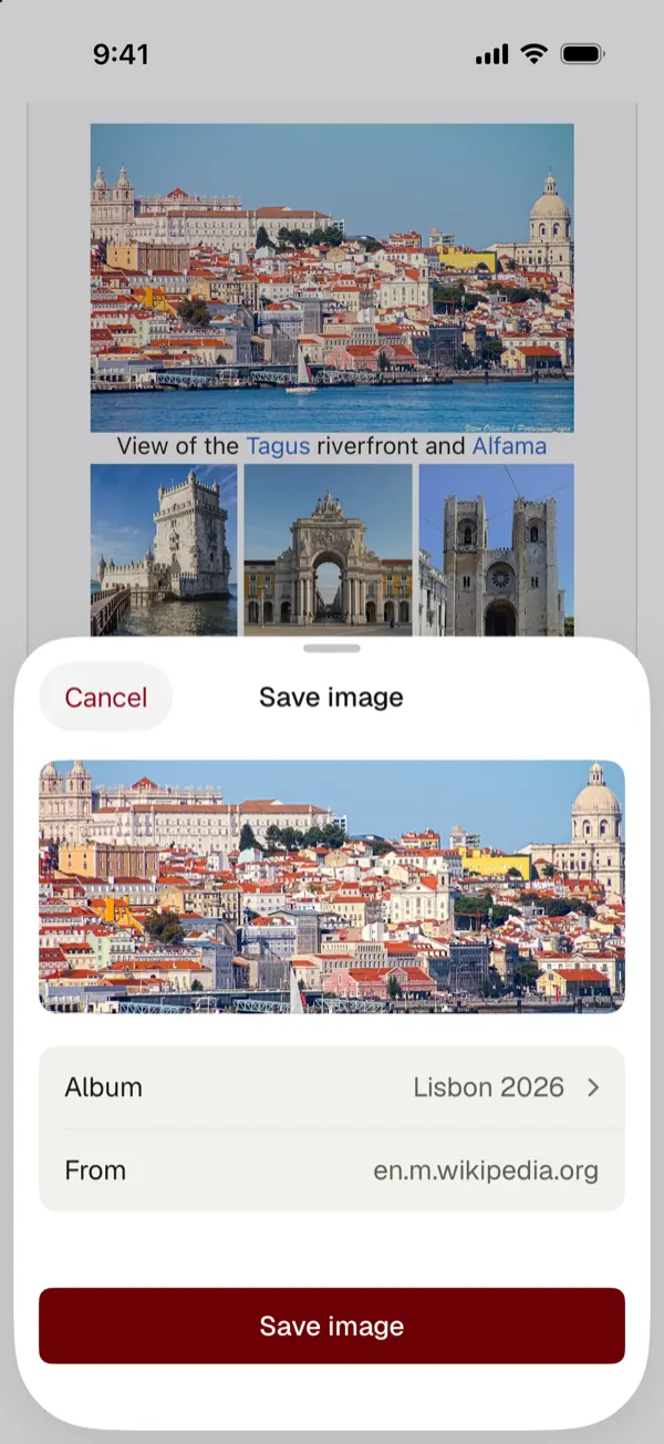 Save image sheet: an image from a web page saved straight to an album