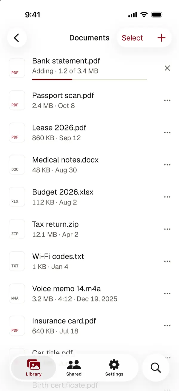 A Documents album in York Vault with PDFs, spreadsheets, a zip file and a voice memo, each with its size and date