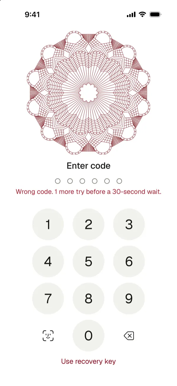 The code screen saying Wrong code, 1 more try before a 30-second wait