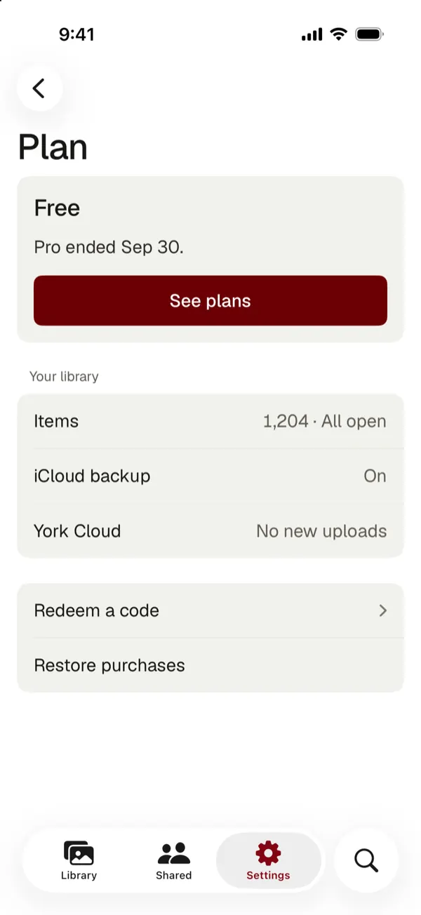 The plan screen after Pro ended: Free, 1,204 items all open, iCloud backup on, York Cloud with no new uploads