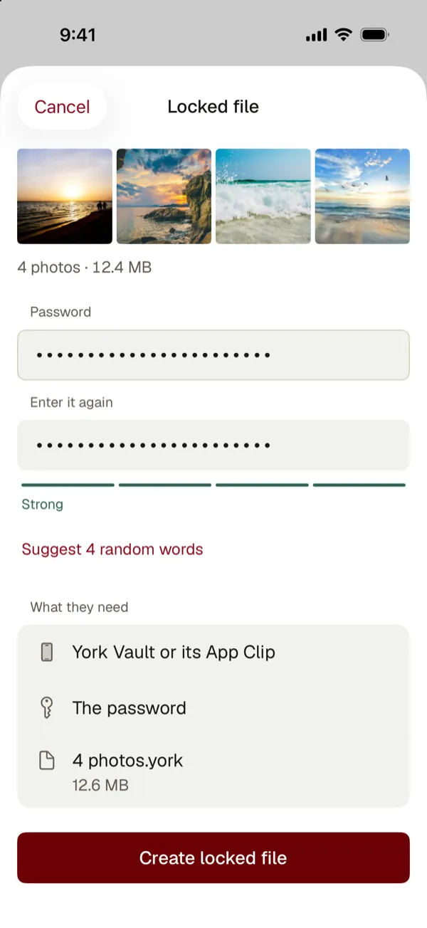 Locked file: 4 photos, a password entered twice and rated strong, and what the other person needs