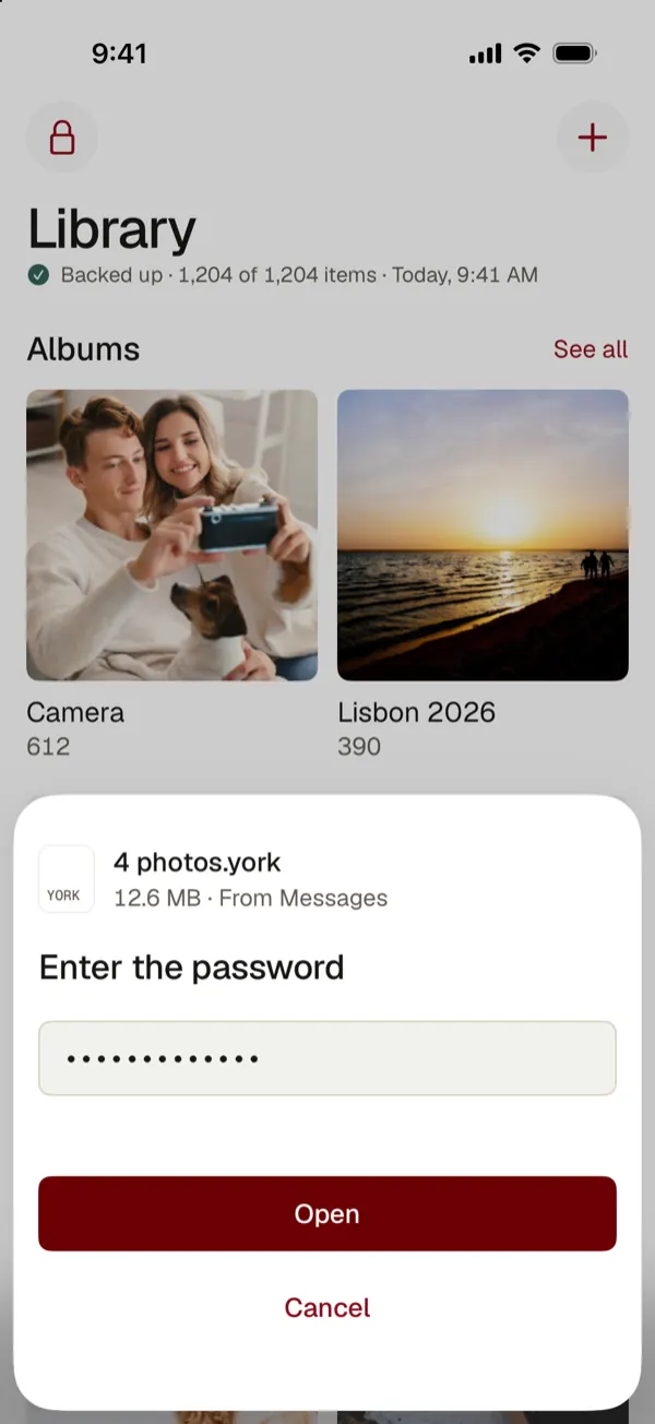 Opening a locked .york file from Messages by entering the password