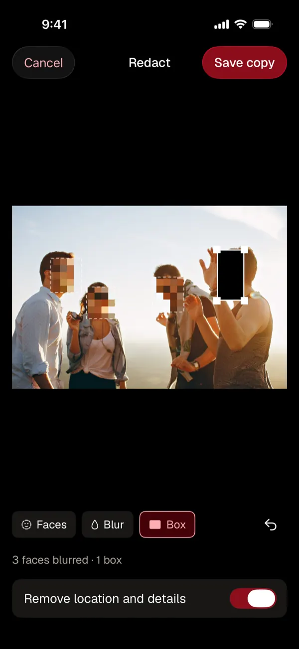 The redact tool with 3 faces blurred and 1 box, and a switch to remove location and details from the copy