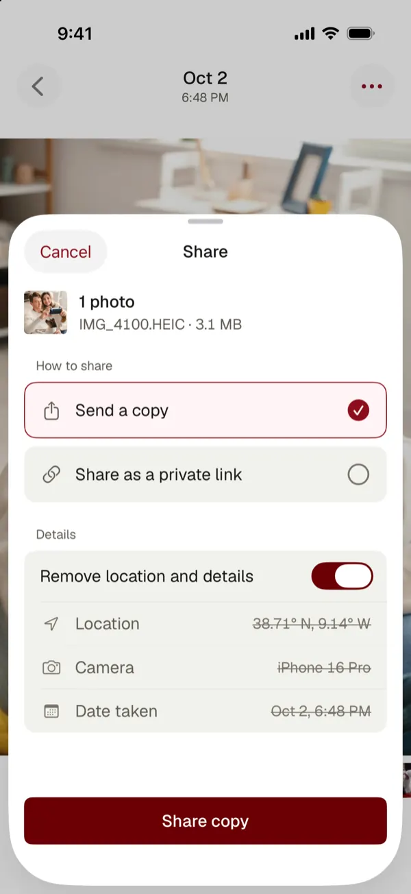 The share sheet: send a copy or share as a private link, with Remove location and details on